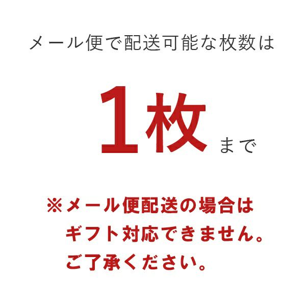 メール便発送は1点まで可能